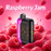 Raspberry Jam,Geek-Bar Single 25K